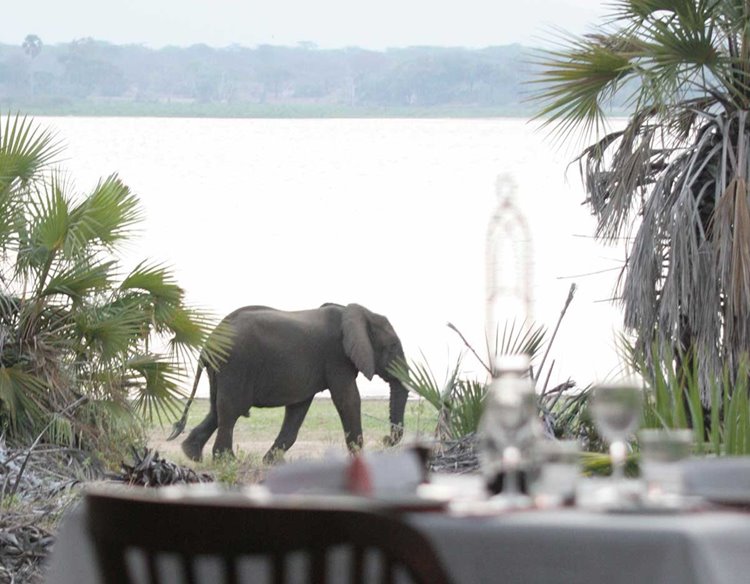Selous Reserve