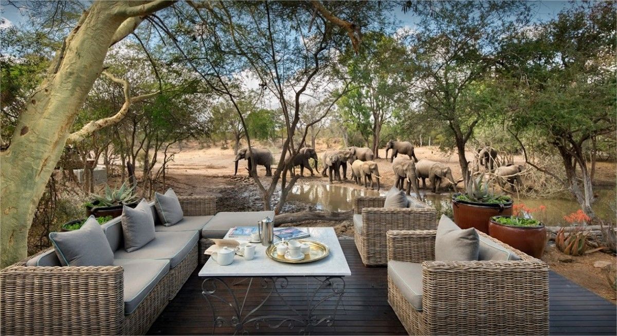 Safari Kruger y Ciudad del Cabo &beyond Ngala diseñado por LAT.40