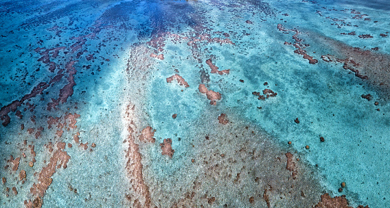 Aitutaki | LAT.40