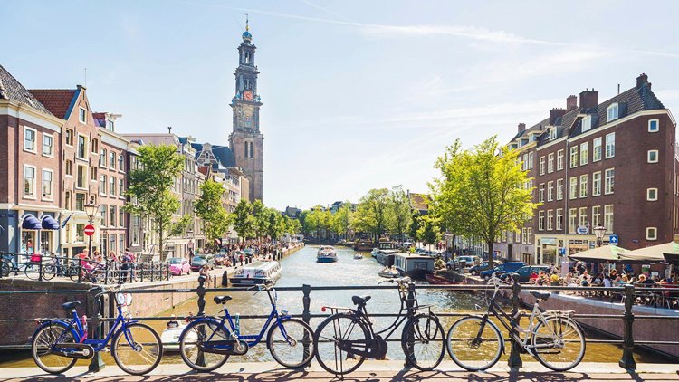 Amsterdam | LAT.40