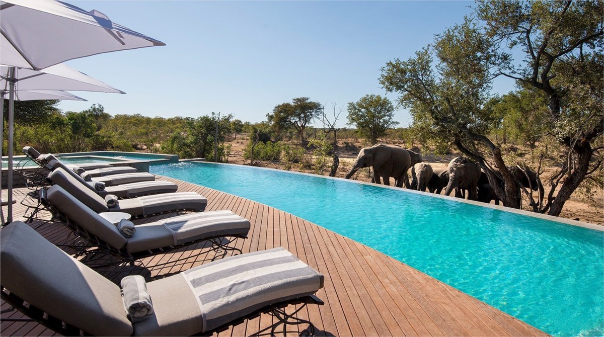 andbeyond-ngala en Ngala Private Game Reserve