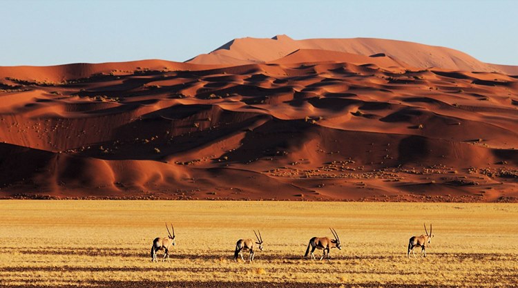 AndBeyond Sossusvlei Desert Lodge en Reserva Natural de NamibRand