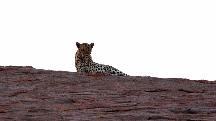 AndBeyond Sossusvlei Desert Lodge en Reserva Natural de NamibRand