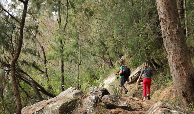 Berowa Valley National Park | LAT.40