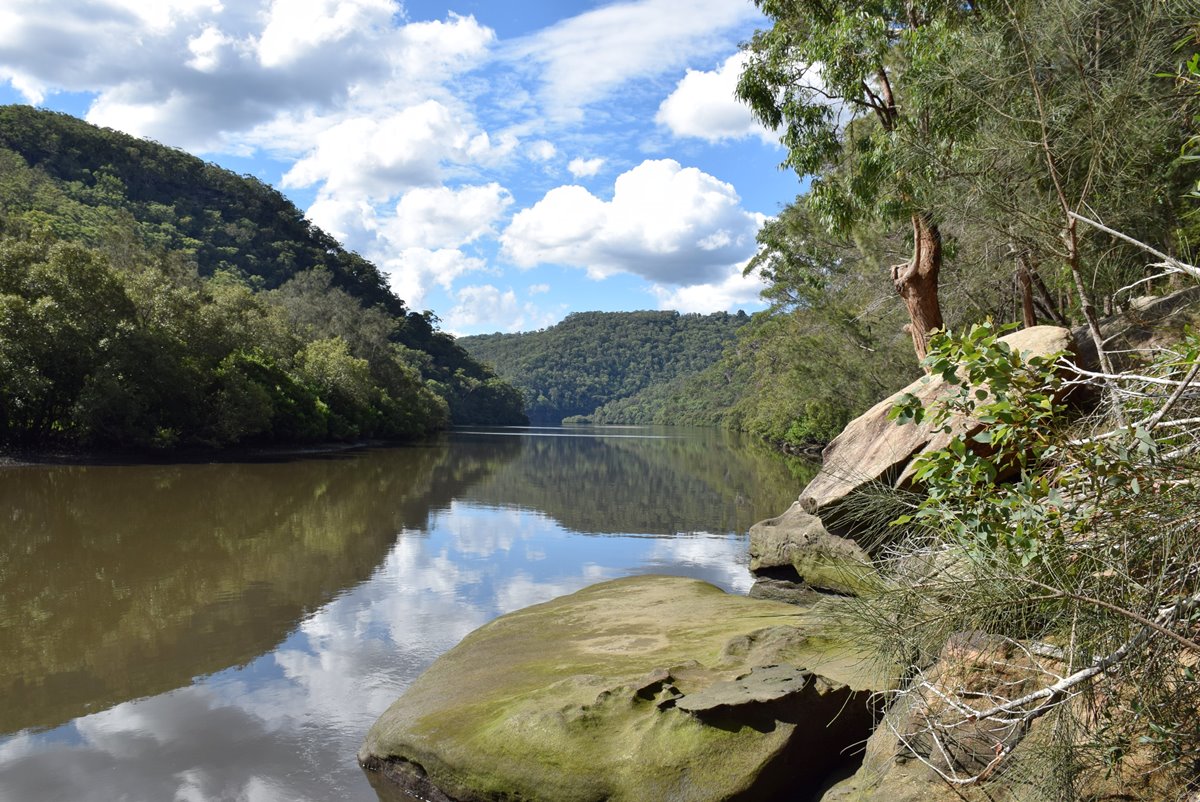 Berowa Valley National Park | LAT.40