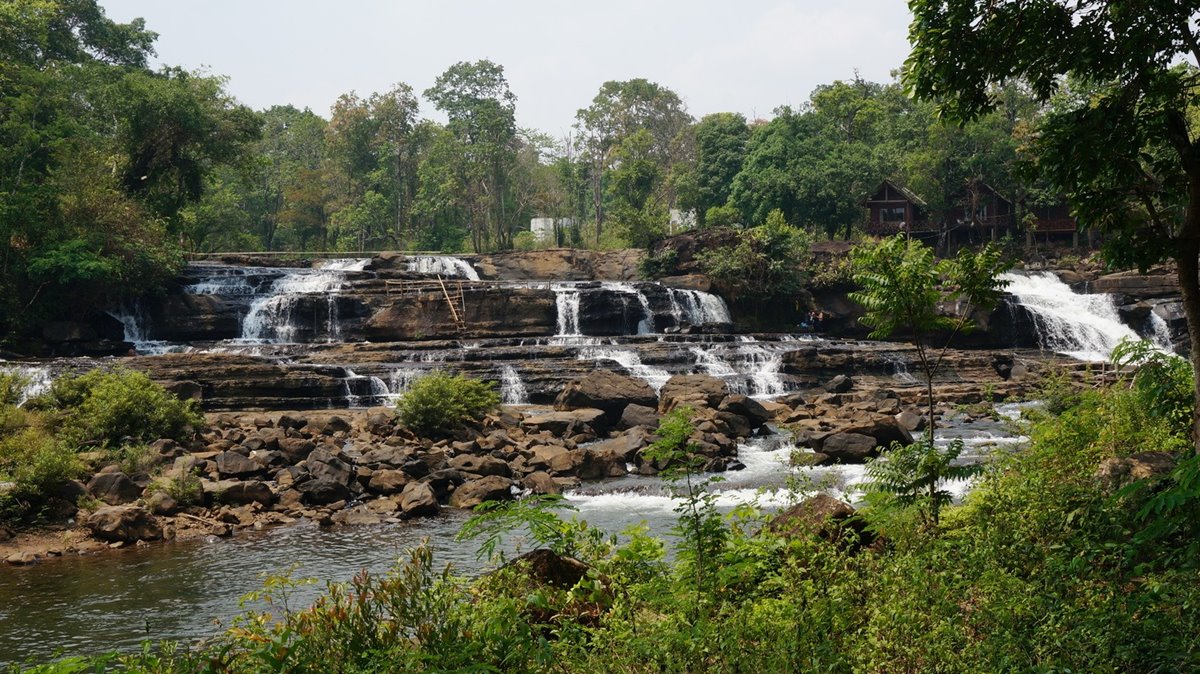 Bolaven plateau | LAT.40