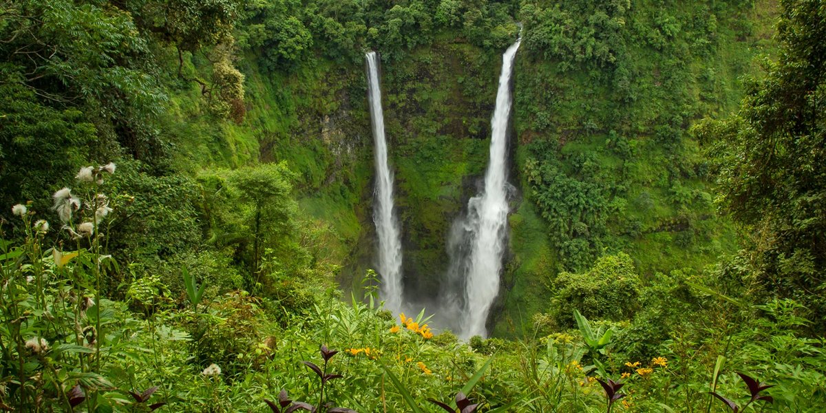 Bolaven plateau | LAT.40