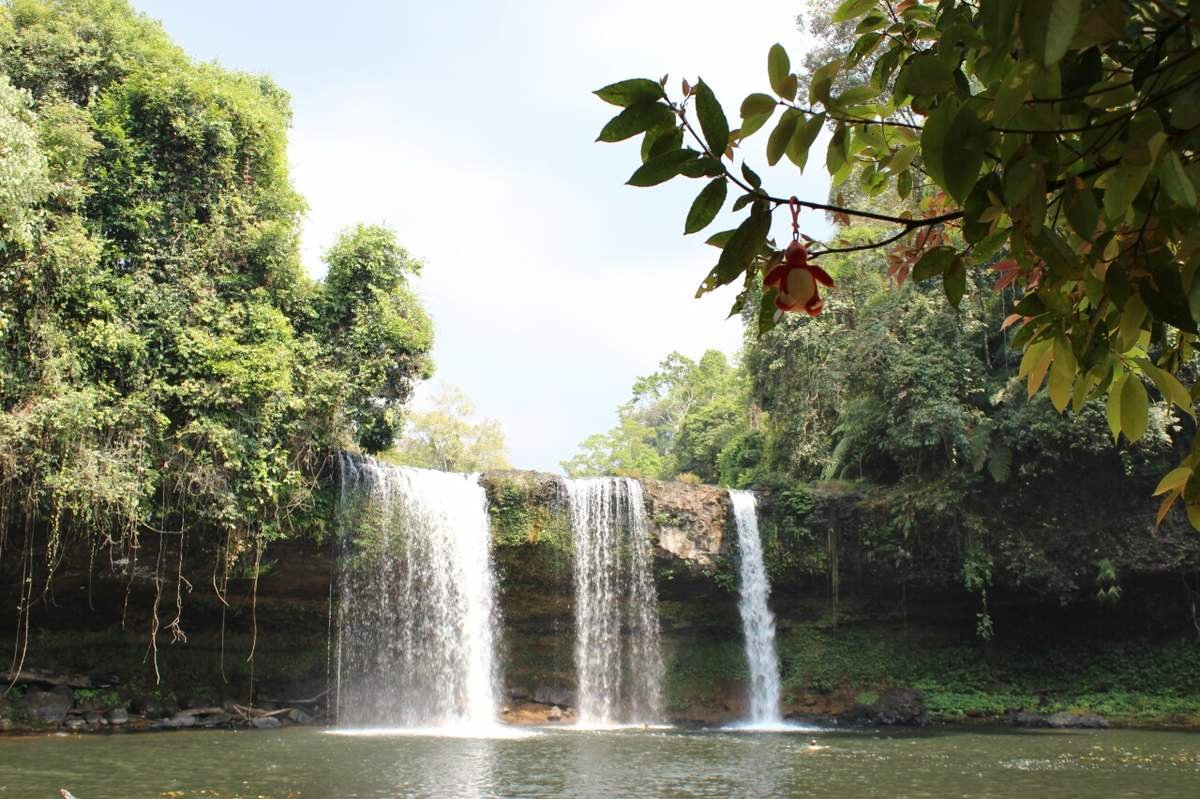 Bolaven plateau | LAT.40