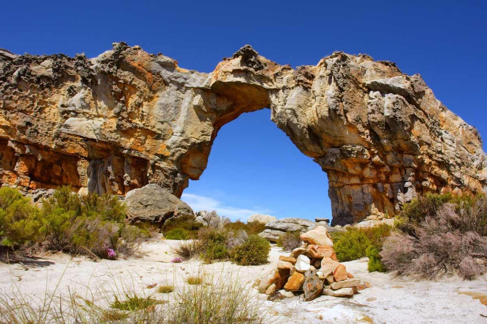 Cederberg | LAT.40