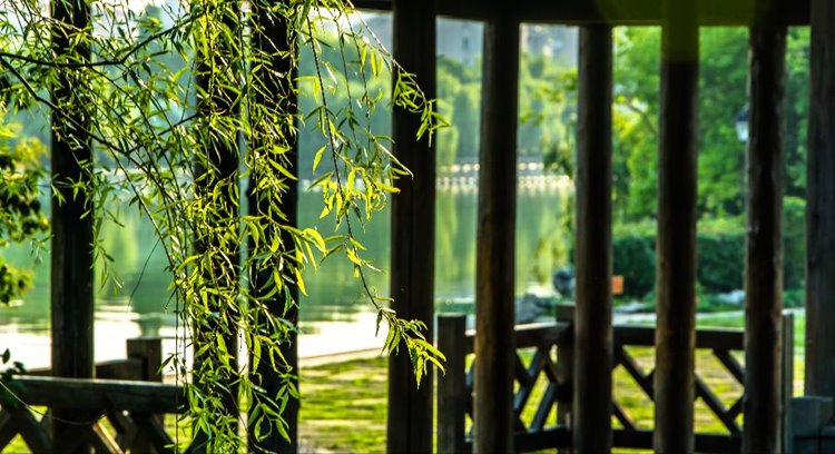 Changsha | LAT.40