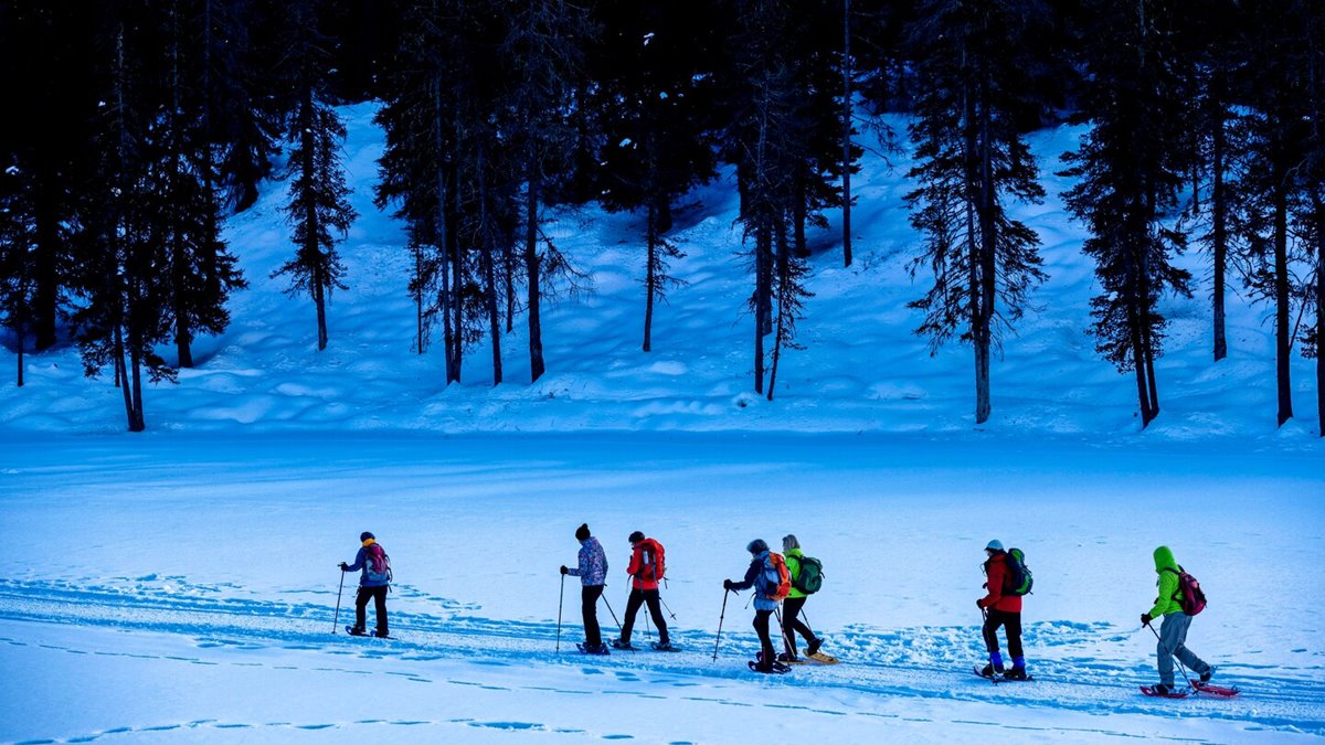 Cristallo Resort & Spa en cortina dampezzo