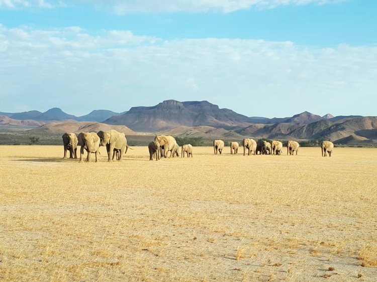 Damaraland | LAT.40