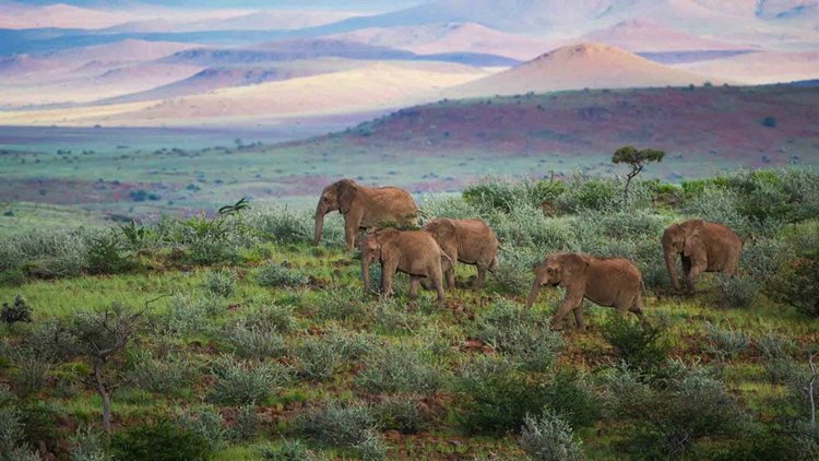 Damaraland