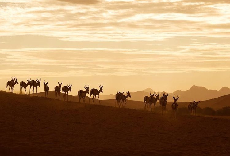 Damaraland | LAT.40