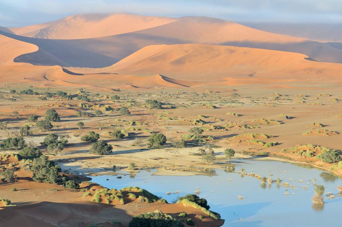 Desierto del Namib | LAT.40