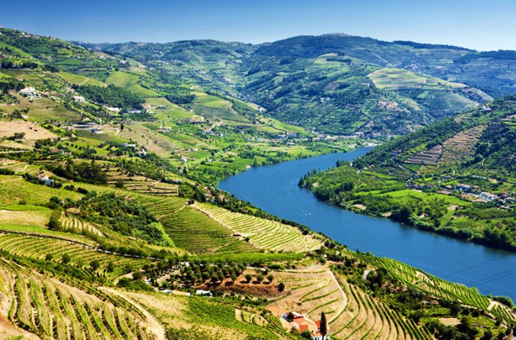 Douro Valey | LAT.40