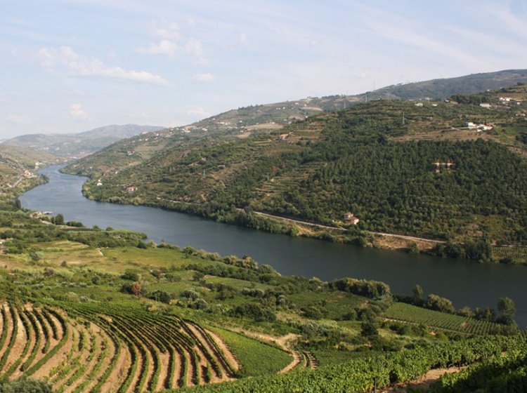 Douro Valey | LAT.40