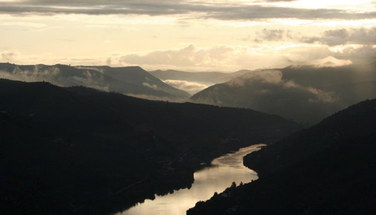 Douro Valey | LAT.40