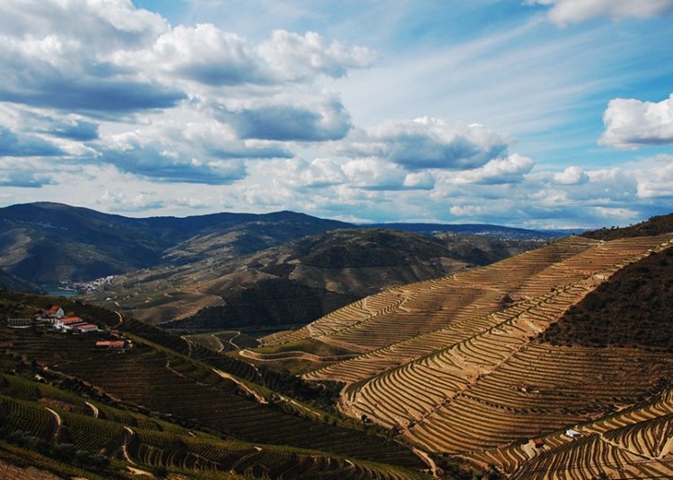 Douro Valey | LAT.40