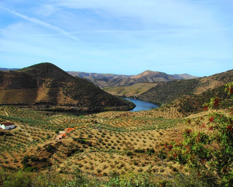 Douro Valey | LAT.40