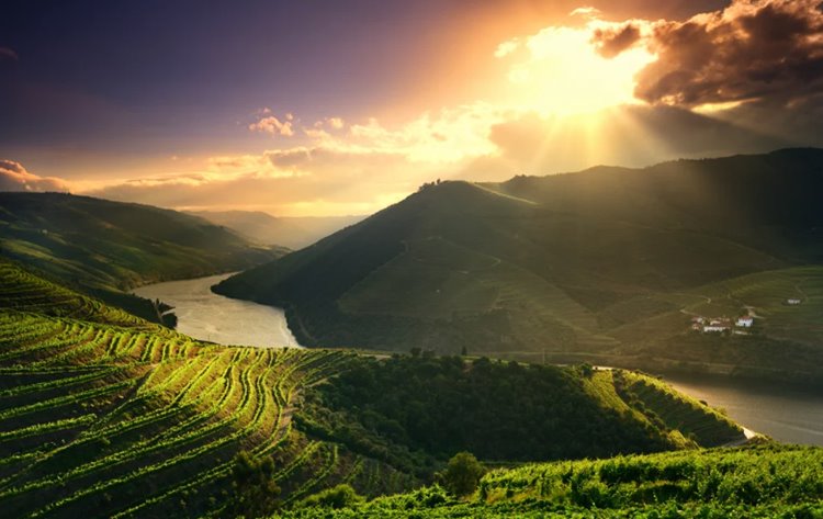 Douro Valey | LAT.40