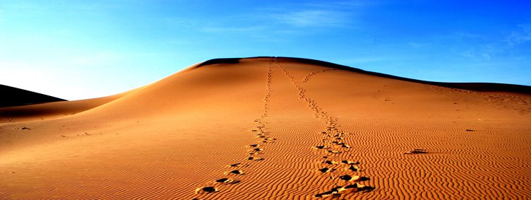 El desierto de Gobi | LAT.40