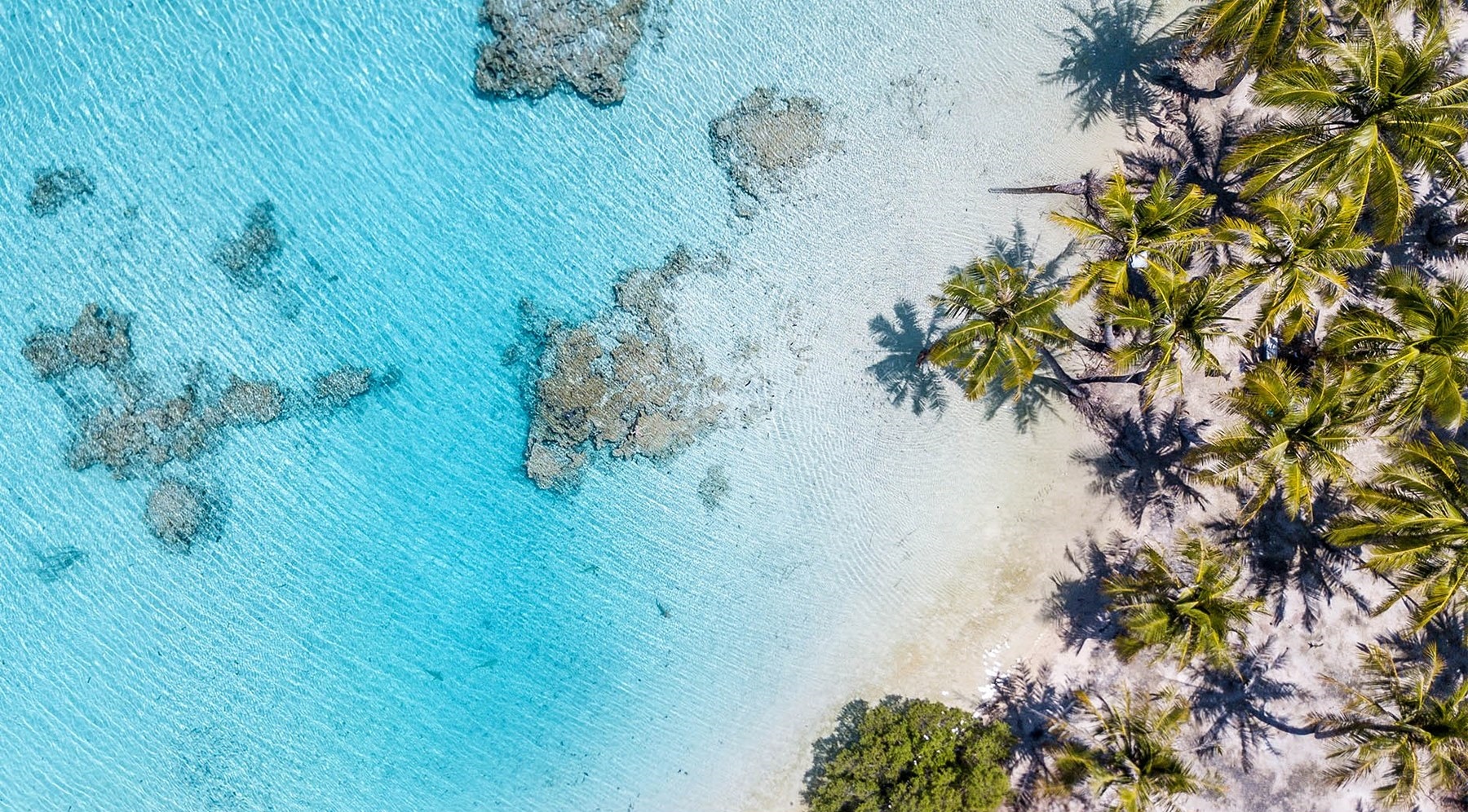 Fakarava | LAT.40