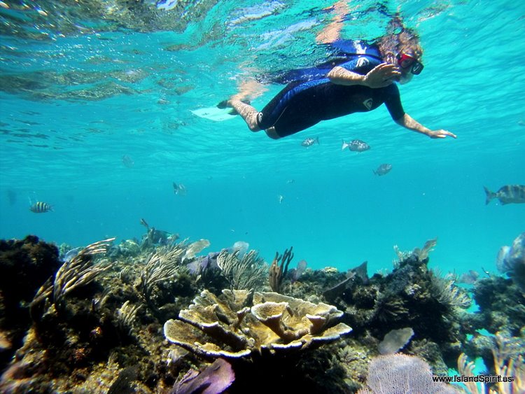 Fowl Cay | LAT.40