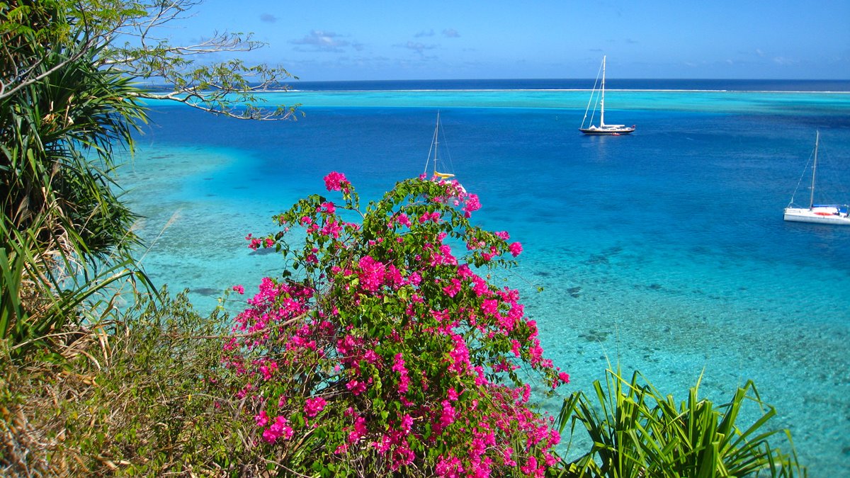 Huahine | LAT.40