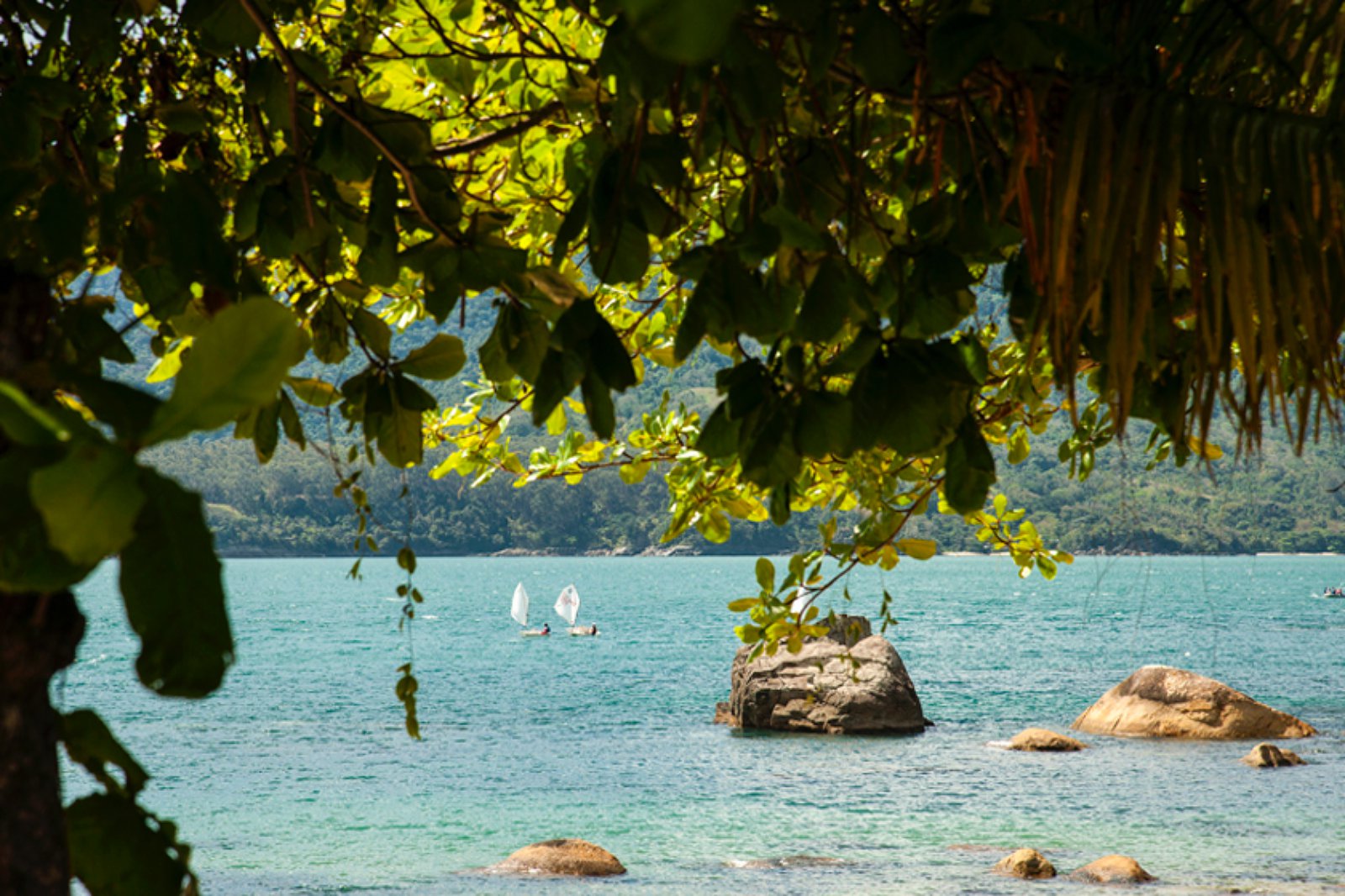 Ilhabela | LAT.40
