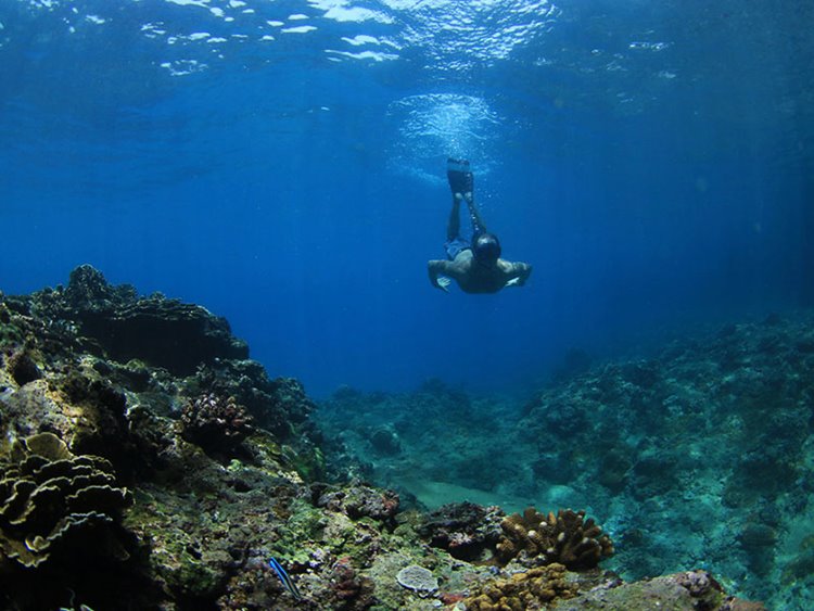 Islas Mentawai | LAT.40