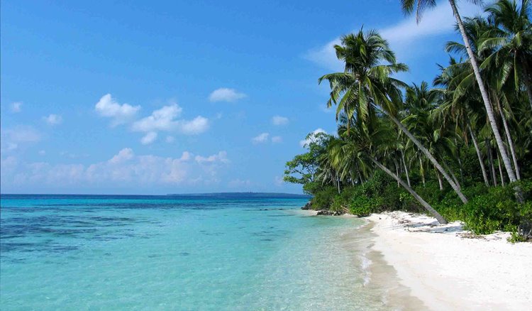Karimunjawa Island | LAT.40