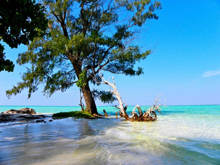 Karimunjawa Island | LAT.40