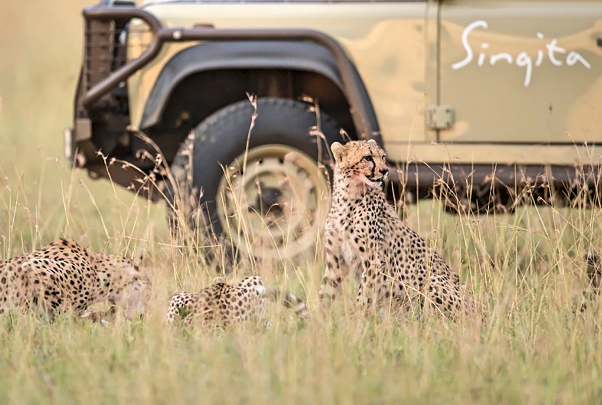 Singita Lebombo Lodge en Singita Private Concession (Kruger)