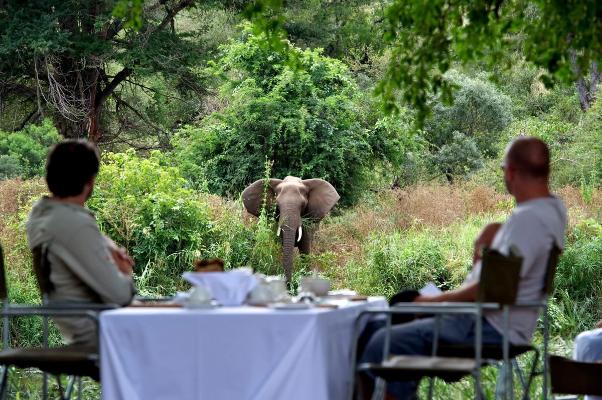 Singita Lebombo Lodge en Singita Private Concession (Kruger)