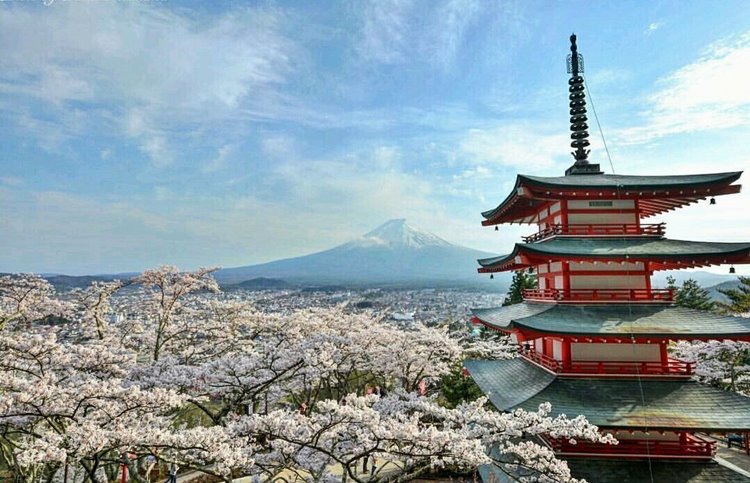 El Japón de los contrastes diseñado por LAT.40
