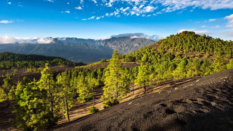 La Palma | LAT.40