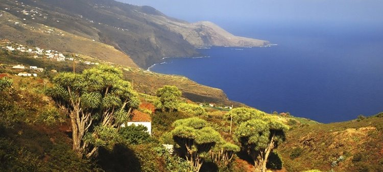 La Palma | LAT.40