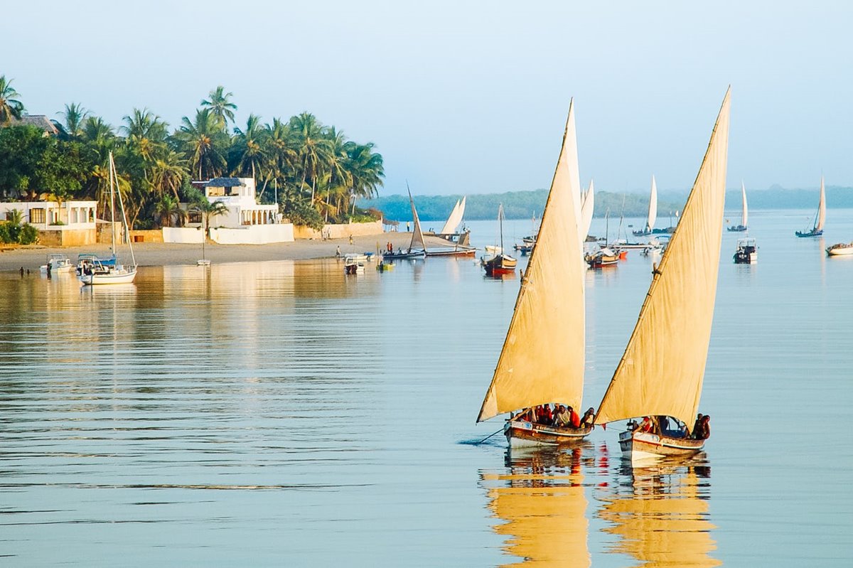 Lamu | LAT.40