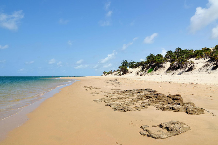 Lamu | LAT.40
