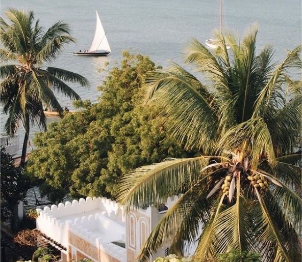 Lamu | LAT.40