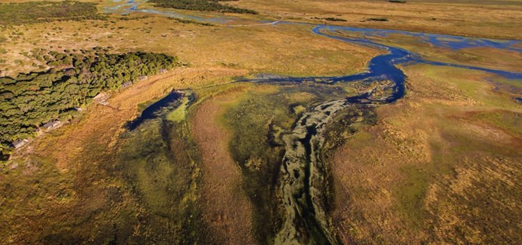 Liuwa Plain National Park | LAT.40
