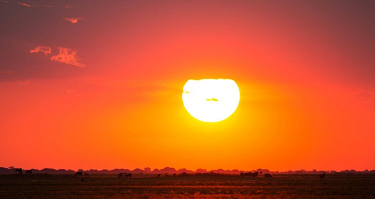 Liuwa Plain National Park | LAT.40