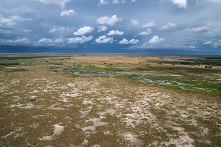 Time + Tide King Lewanika en Liuwa Plain National Park