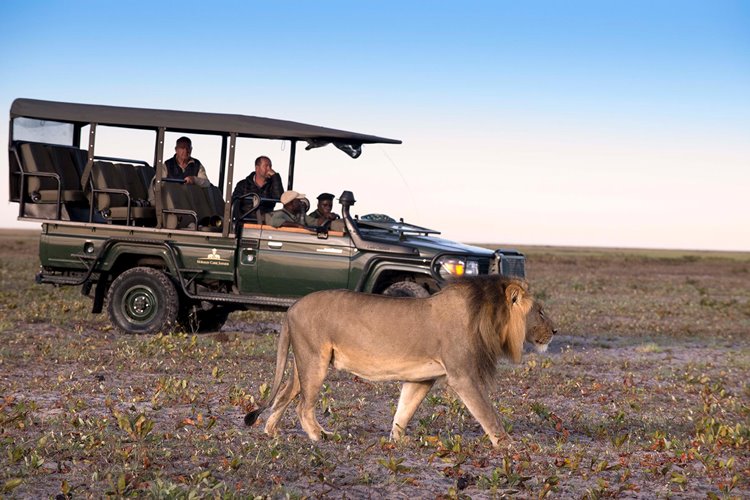 Time + Tide King Lewanika en Liuwa Plain National Park