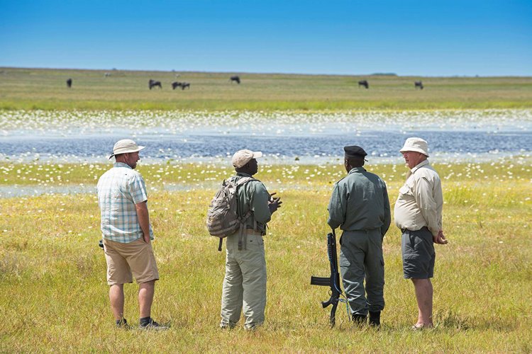 Time + Tide King Lewanika en Liuwa Plain National Park