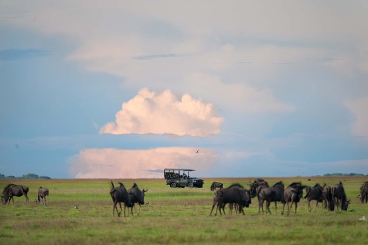 Time + Tide King Lewanika en Liuwa Plain National Park