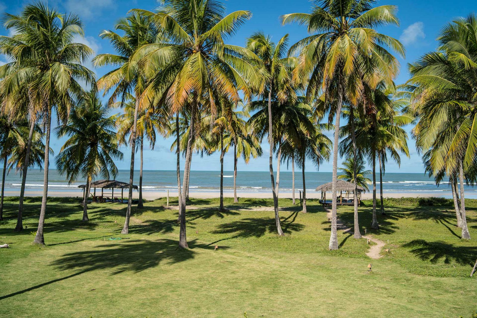 Maceio | LAT.40