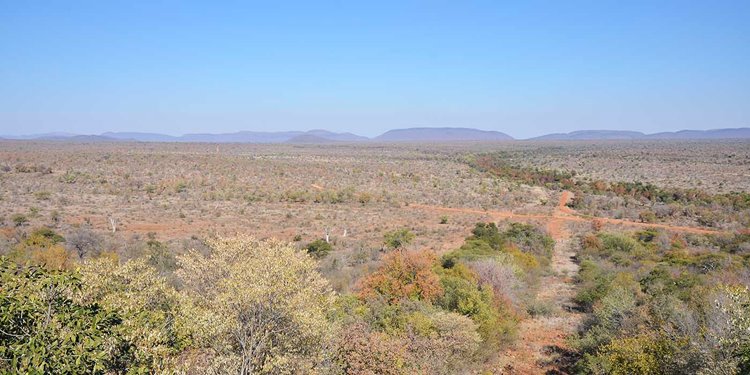 Madikwe Game Reserve | LAT.40