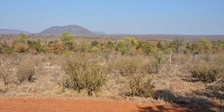 Madikwe Game Reserve | LAT.40